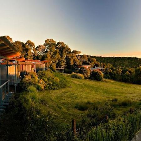 O'Reilly'S Rainforest Retreat Canungra Eksteriør bilde