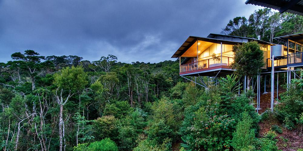 O'Reilly'S Rainforest Retreat Canungra Eksteriør bilde