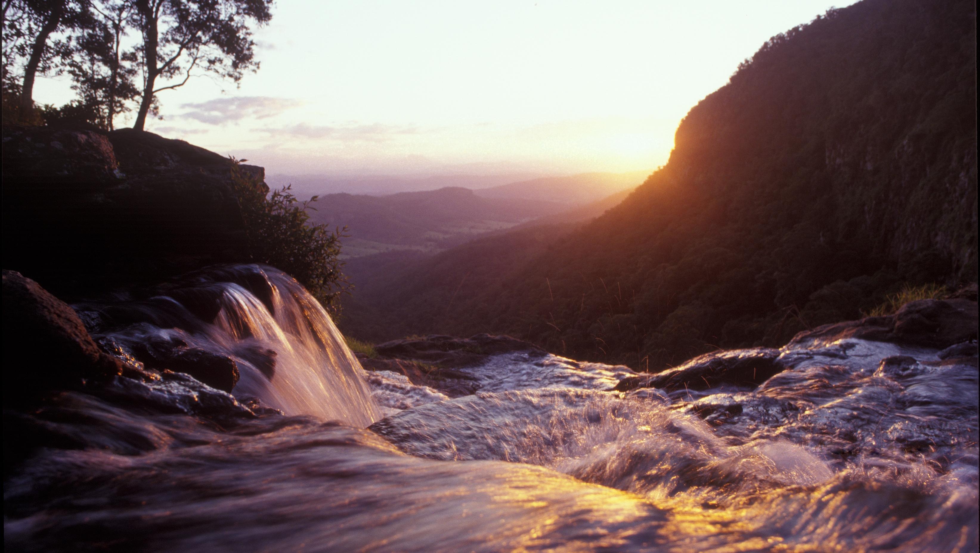 O'Reilly'S Rainforest Retreat Canungra Eksteriør bilde
