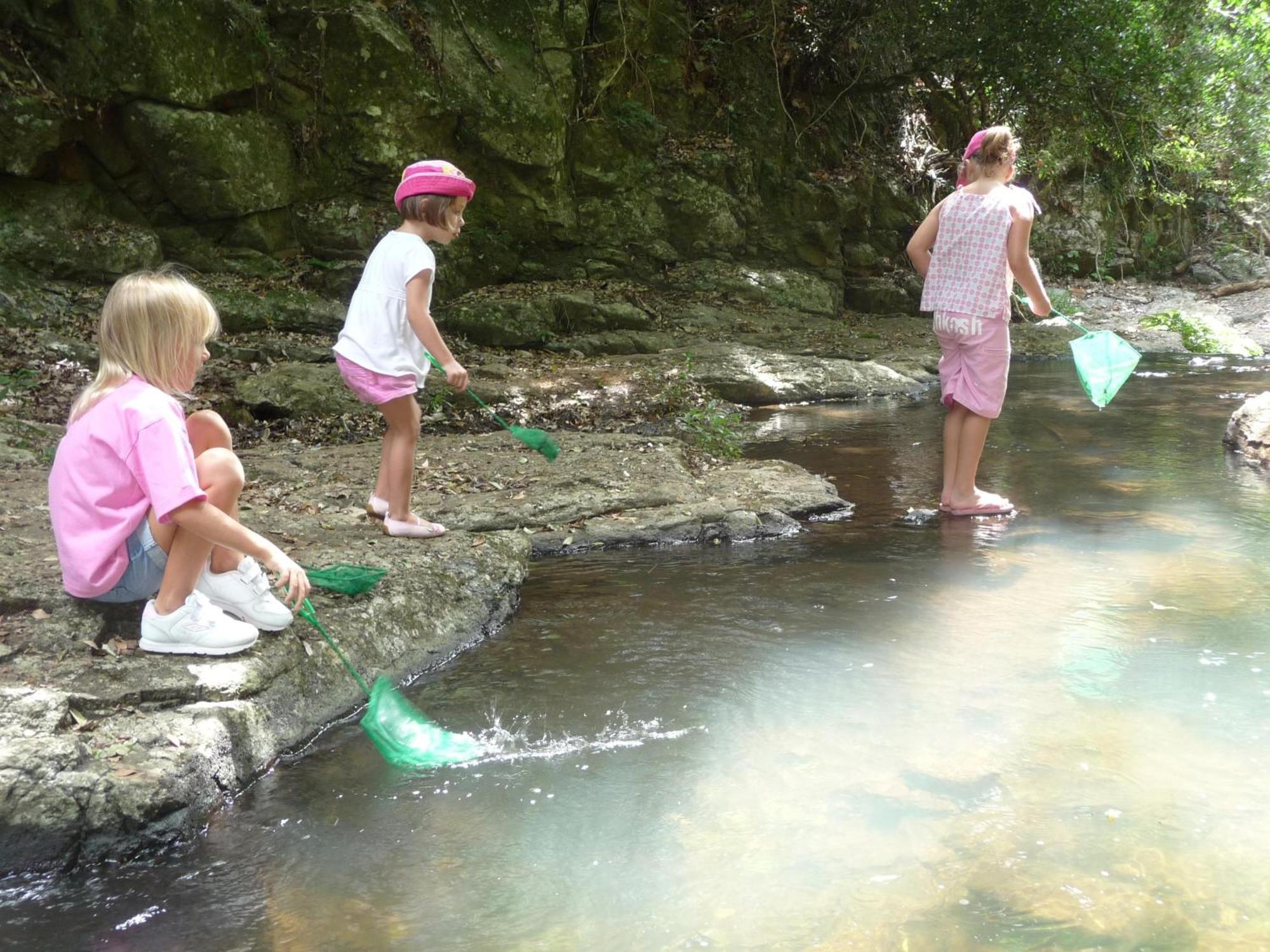 O'Reilly'S Rainforest Retreat Canungra Eksteriør bilde