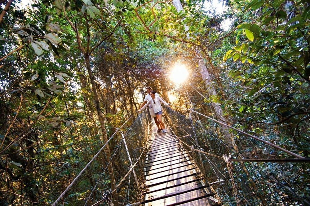 O'Reilly'S Rainforest Retreat Canungra Eksteriør bilde