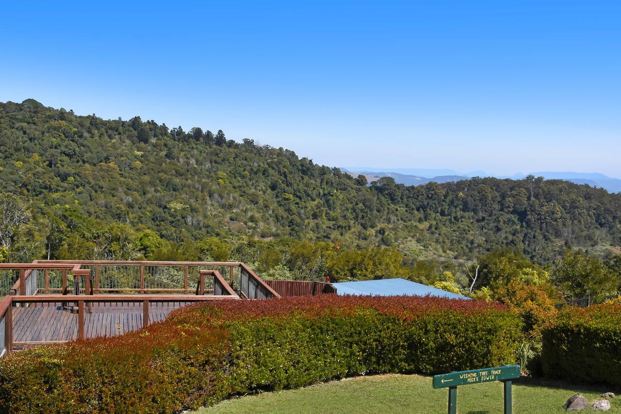 O'Reilly'S Rainforest Retreat Canungra Eksteriør bilde