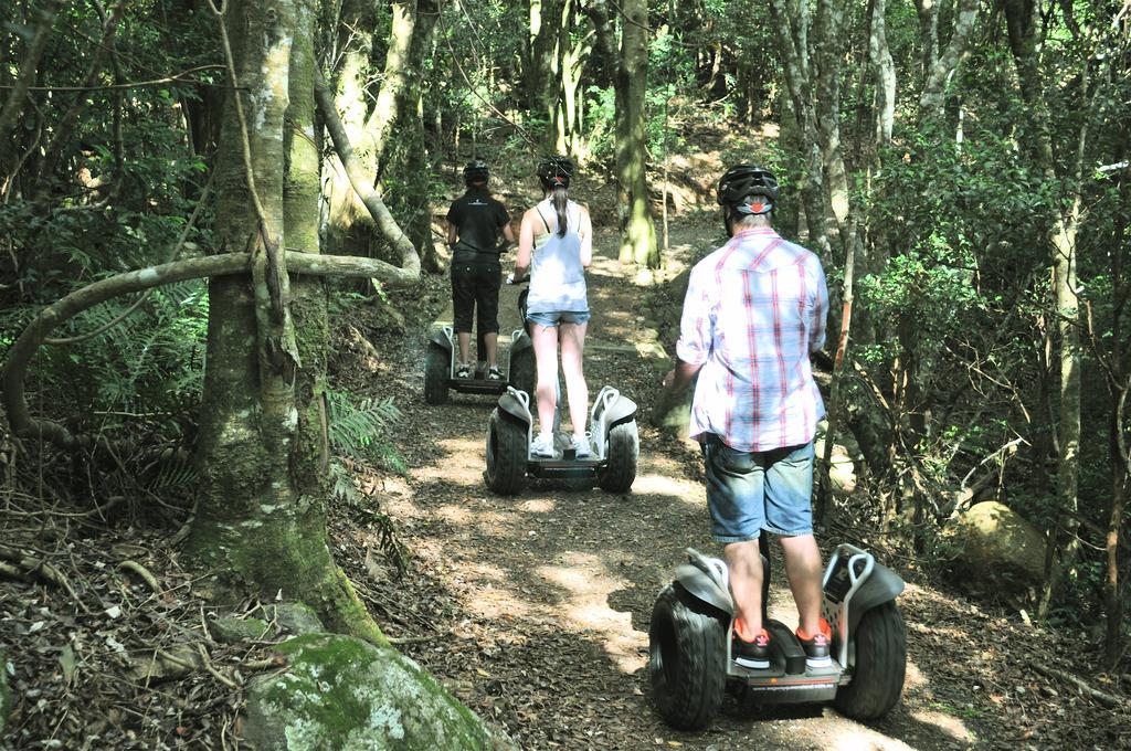 O'Reilly'S Rainforest Retreat Canungra Eksteriør bilde