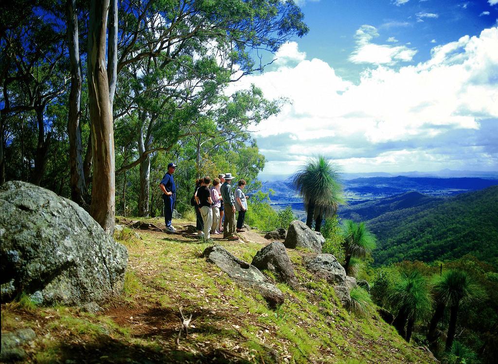 O'Reilly'S Rainforest Retreat Canungra Eksteriør bilde